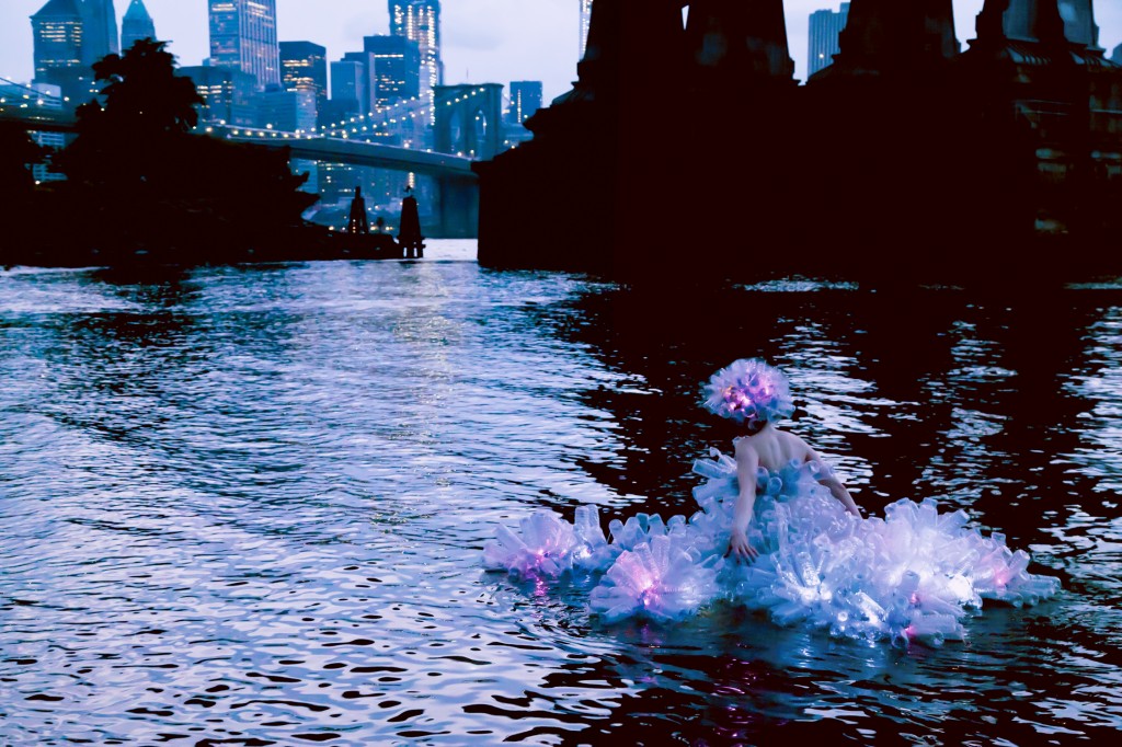 [LUMEN 2013] Dominique Paul, Ready to Float (from Migrations of the Arthropods series), 2012